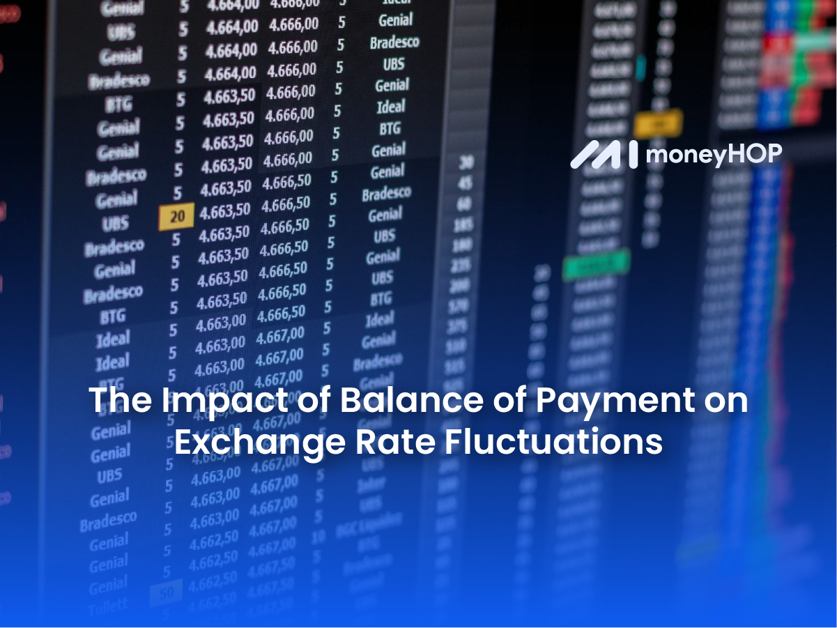 The Impact of Balance of Payment on Exchange Rate Fluctuations